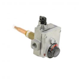 Lochinvar & A.O. Smith 100109365 Natural Gas Control Valve