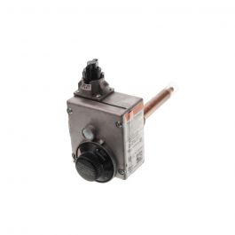 Lochinvar & A.O. Smith 100109674 Natural Gas Control Valve