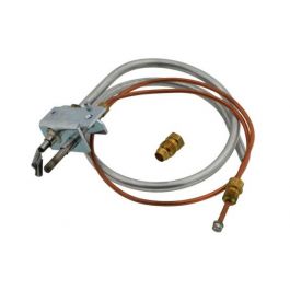 Lochinvar & A.O. Smith 100109680 Pilot Assembly