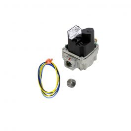 Lochinvar & A.O. Smith 100109913 Natural Gas Valve