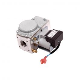 Lochinvar & A.O. Smith 100111891 Natural Gas Valve