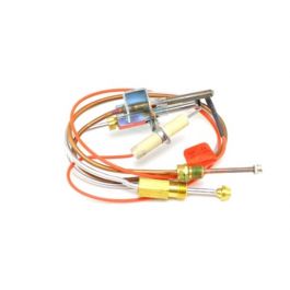 Lochinvar & A.O. Smith 100165830 LP Gas Pilot Assembly