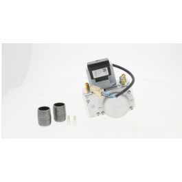 Lochinvar & A.O. Smith 100172009 Natural Gas Valve Assembly