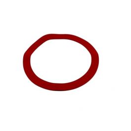 Lochinvar & A.O. Smith 100208108 Main Gasket