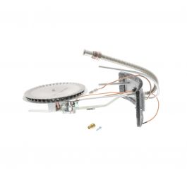 Lochinvar & A.O. Smith 100210054 18" LP Final Burner Assembly 45