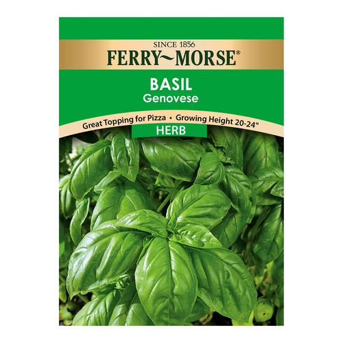 Ferry~Morse Herb Basil Genovese Seeds