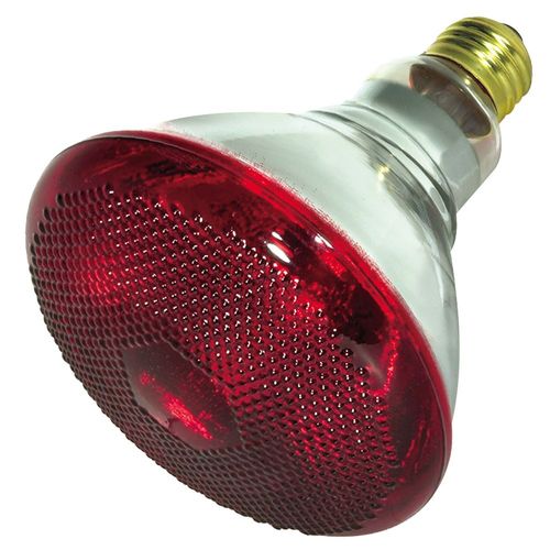 Satco Red Incandescent Heat Bulb 175W