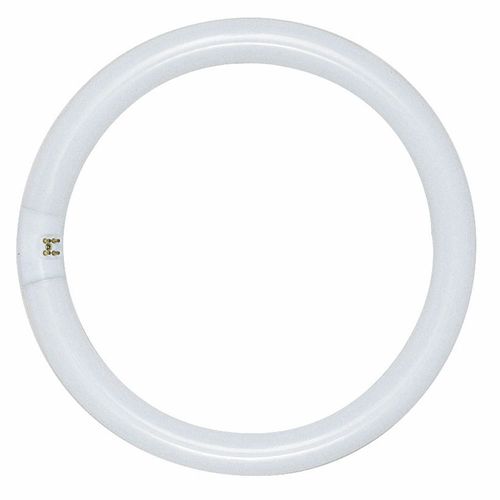 Satco Ciculine Fluorescent Bulb 22W