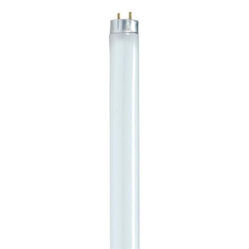 Satco Gloss White Fluorescent Tube Bulb 32W
