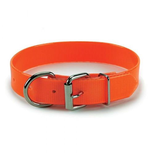 1" x 19" Poly-Coat Hunting Collar, Orange