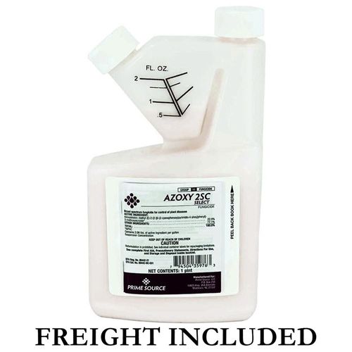 AZOXY 2SC PINT