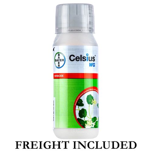 CELSIUS WG 10OZ