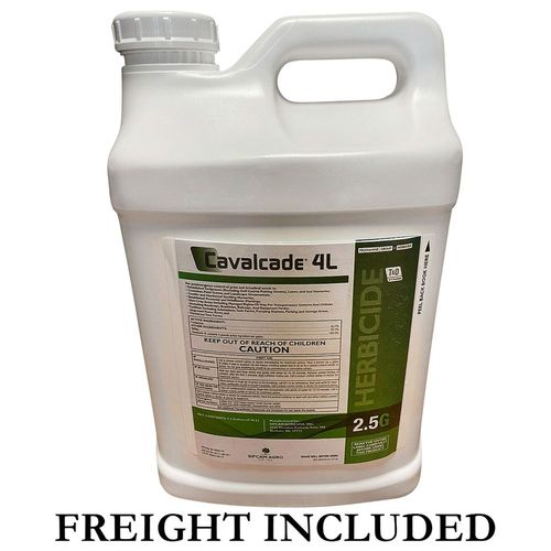 CAVALCADE 4L 2.5GAL