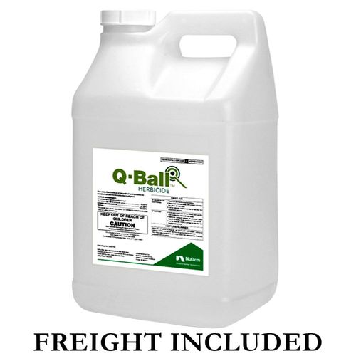 QBALL 64OZ