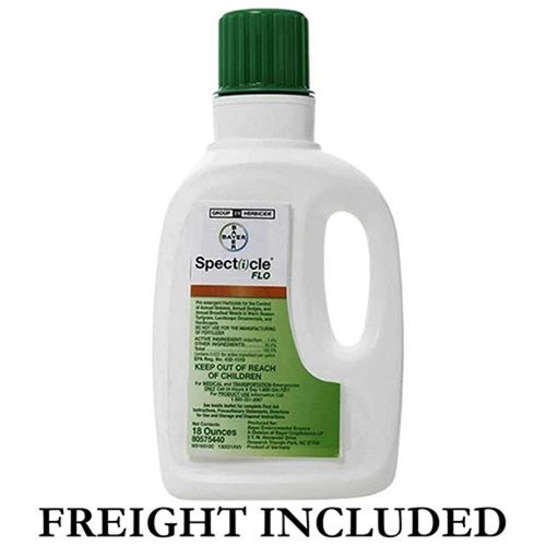SPECTICLE FLO 18OZ