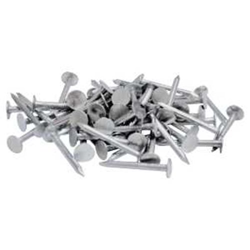 Nail Roofing Hand Driven 2 in. 11 Gauge 1 lb.