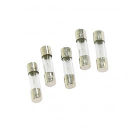 Weil McLain 383-500-235 Fast Blow Fuse Kit-R 5AMP