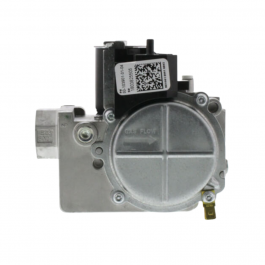 Rheem-Ruud 60-103901-01 Natural Gas Valve 120V