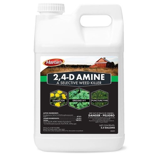 2, 4-D Amine Weed Killer, 2.5-Gallon, Concentrate