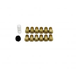 Lennox 73W81 Liquid Propane To Natural Gas Conversion Kit