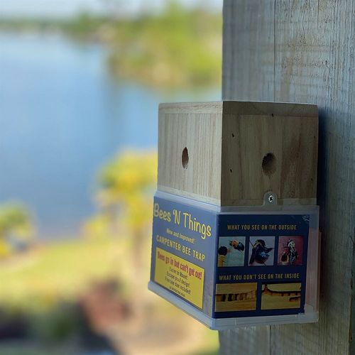 Bees 'N Things Carpenter Bee Catcher