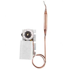 Johnson Controls A19AGC-77 SPDT Temperature Control -30°F To 100°F