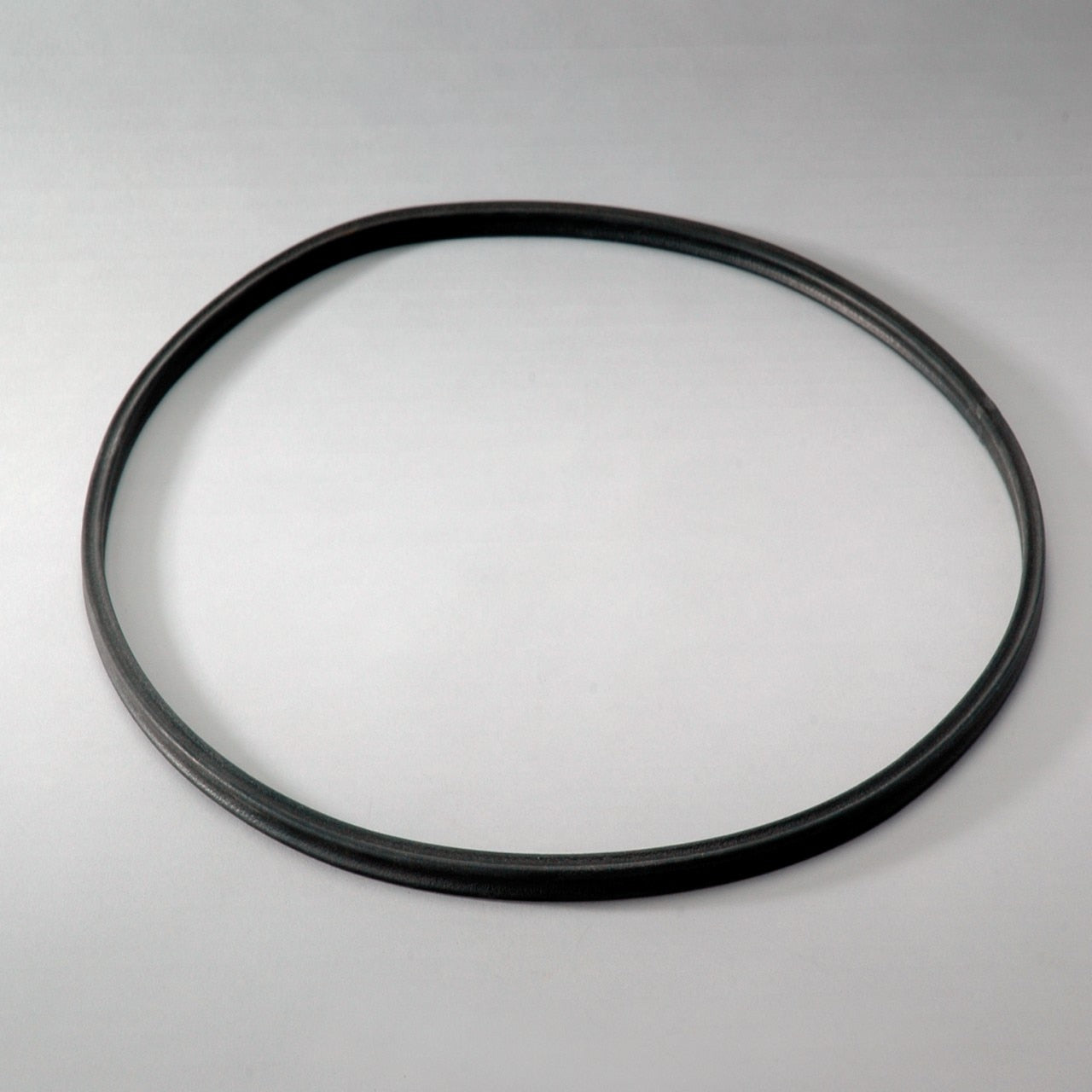 Genie Part # P016972DFS – Gasket Kit