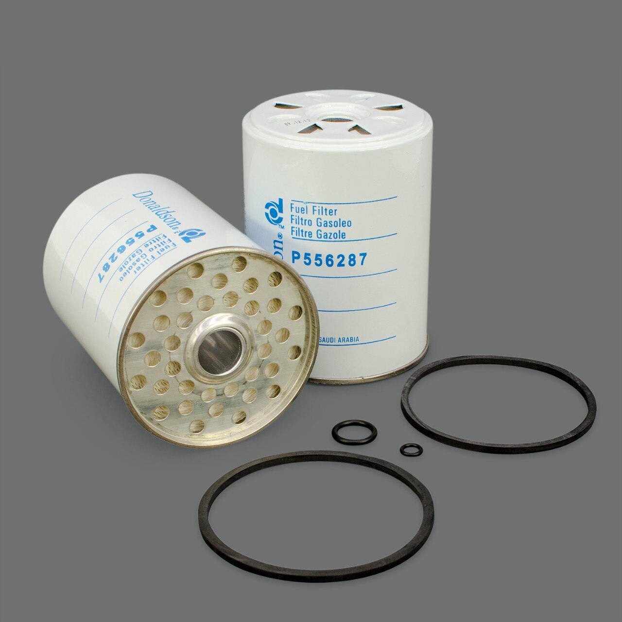 Genie Part # P556287DFS – Fuel Filter, Cartridge