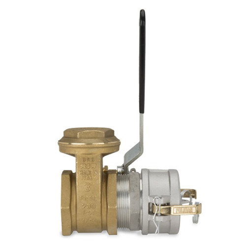 RIV Turchese 2 in. NPT Brass Lever Valve Combo - 230 PSI