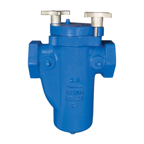 Titan Flow Control BS25I0100 1 in. Simplex Basket Strainer, Threaded, Cast Iron - ASME Class 125