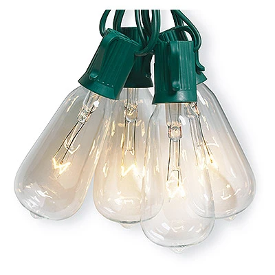 String Light Set, 10 Edison-Style Bulbs