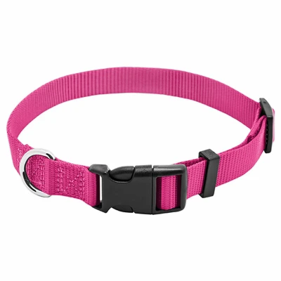 Pet Expert Adjustable Nylon Dog Collar, Pink, 3/8 x 8-12 In.