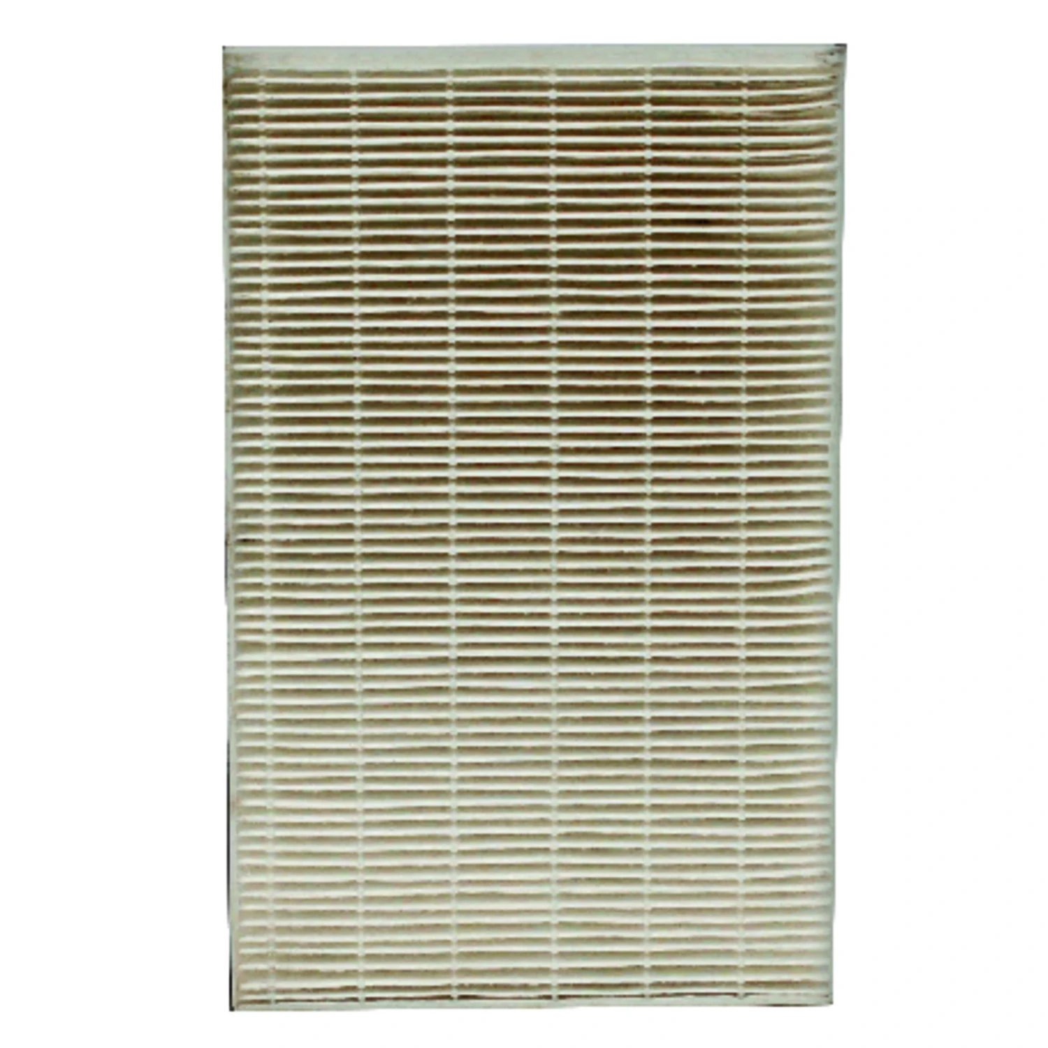 Replacement Air Filter, True HEPA