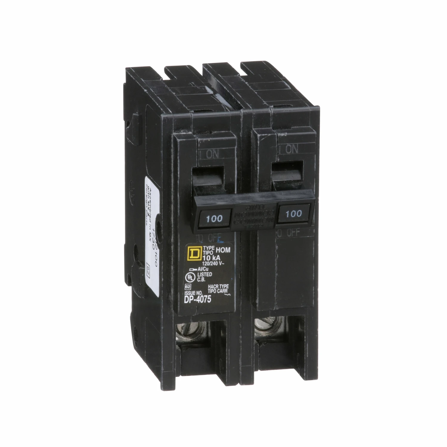 Homeline 100-Amp Double-Pole Circuit Breaker