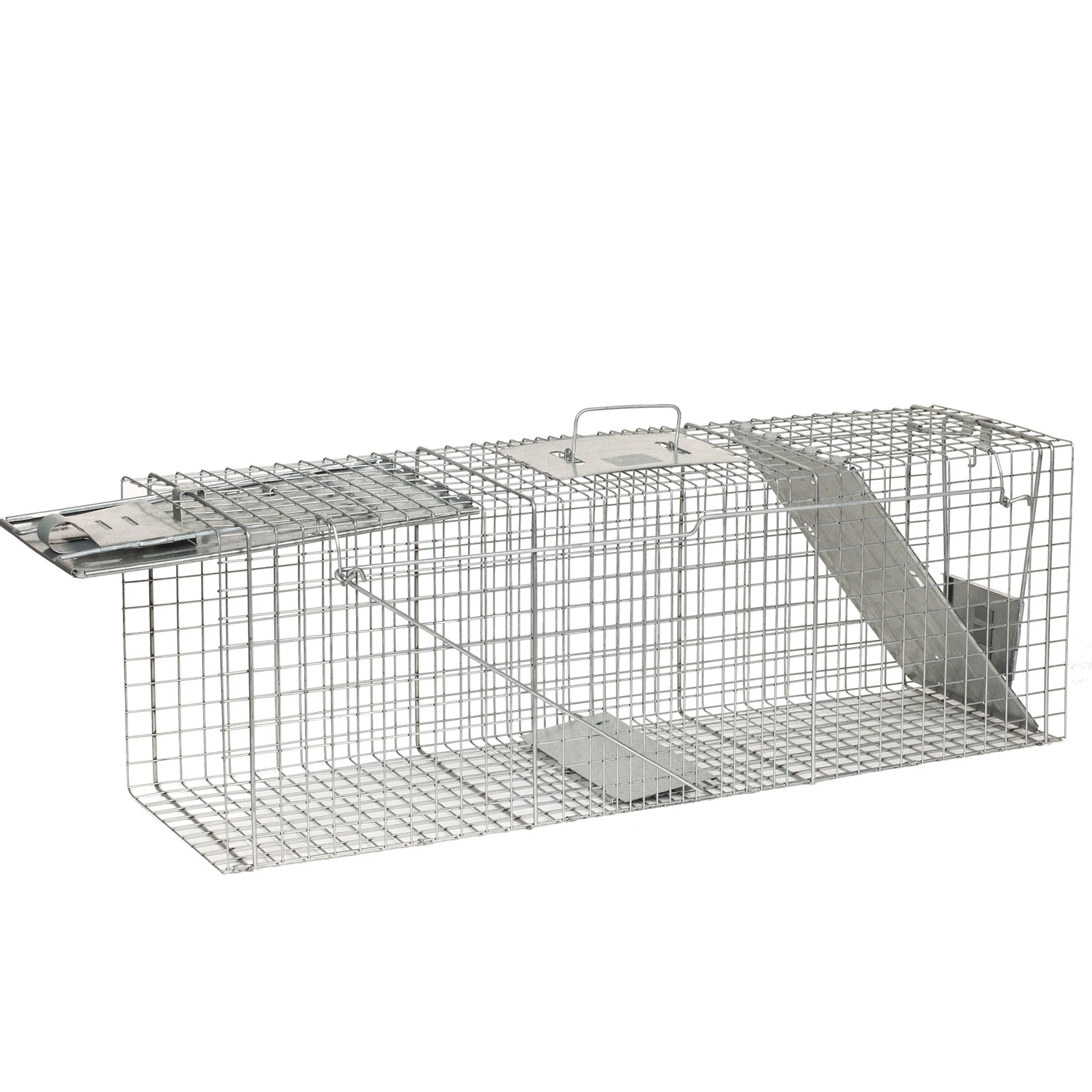 Live Animal Cage Trap, 36 In.