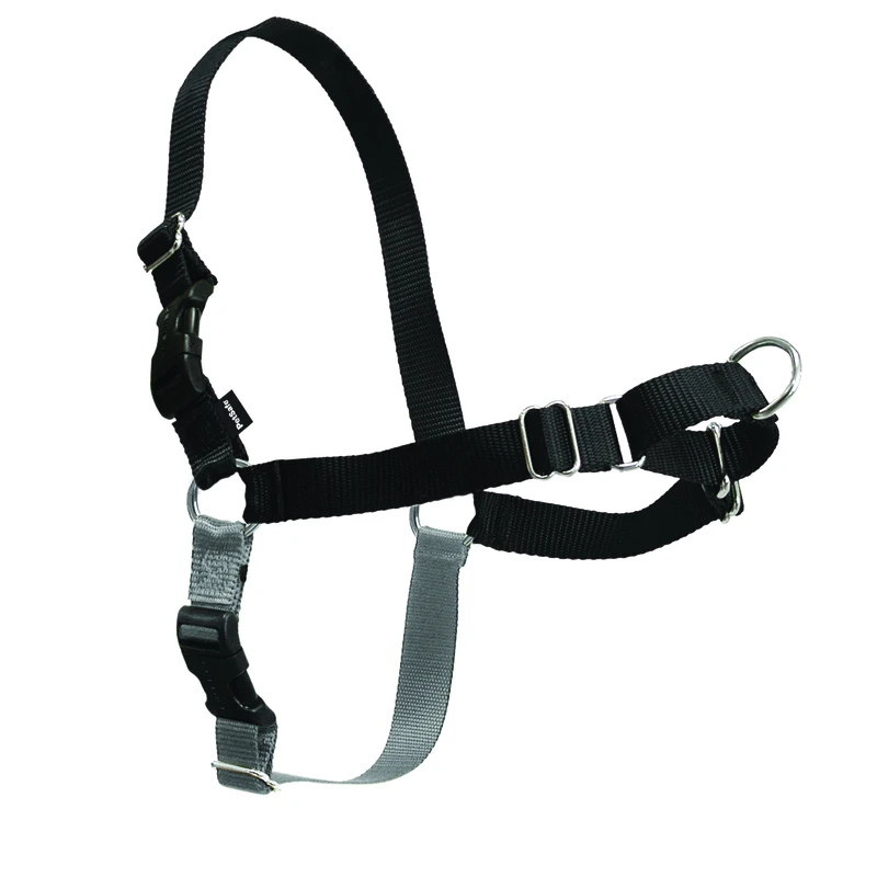 Easy Walk Dog Harness, Medium/Large
