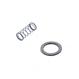 Amana-Goodman B1880007 LP Spring Kit F/ White Rog Valve