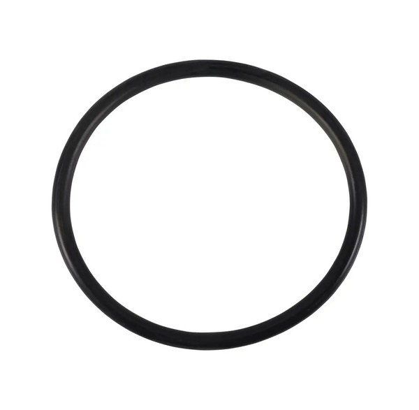 JLG Part # DN58K338 | DN-O RING, EA