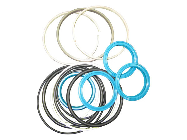 JLG Part # ZF0501298365 | ZF-SEAL KIT, EA