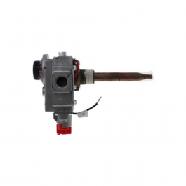 Rheem-Ruud SP20167A Liquid Propane Gas Valve