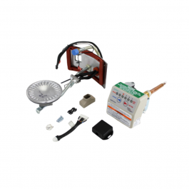 Rheem-Ruud SP20170B NG Gas Control & Burner Assembly Retrofit Kit