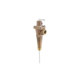 Rheem-Ruud SP9013E Temperature & Pressure Relief Valve 3/4" NPT 200000 BTU 5" Element