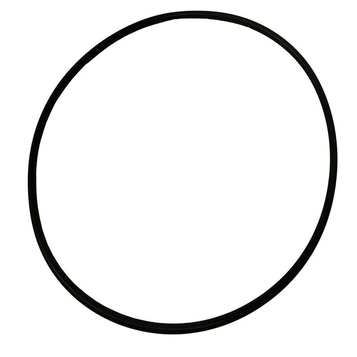 SW/RSW Strainer O-Ring for 8 Inch Strainers - 2009-2015